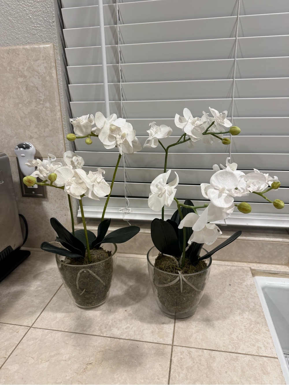 Pottery Barn White Orchid Duo in Clear Glass Vases